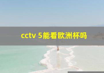 cctv 5能看欧洲杯吗